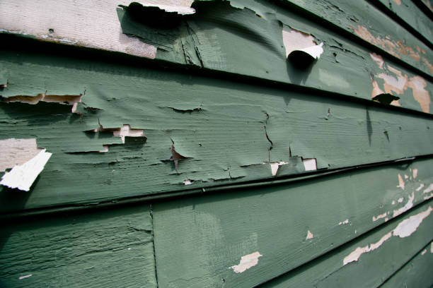 Best Construction Debris Removal  in Centuria, WI