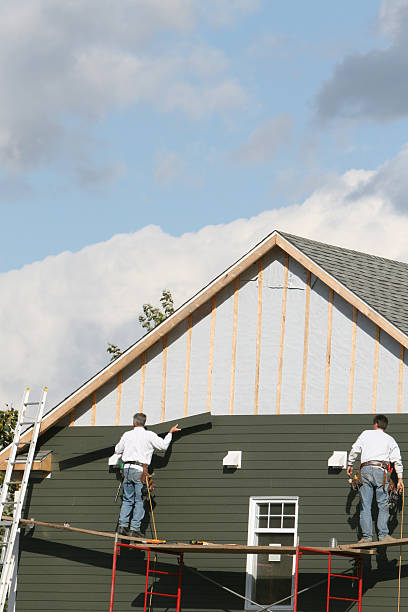 Best Shed Removal  in Centuria, WI